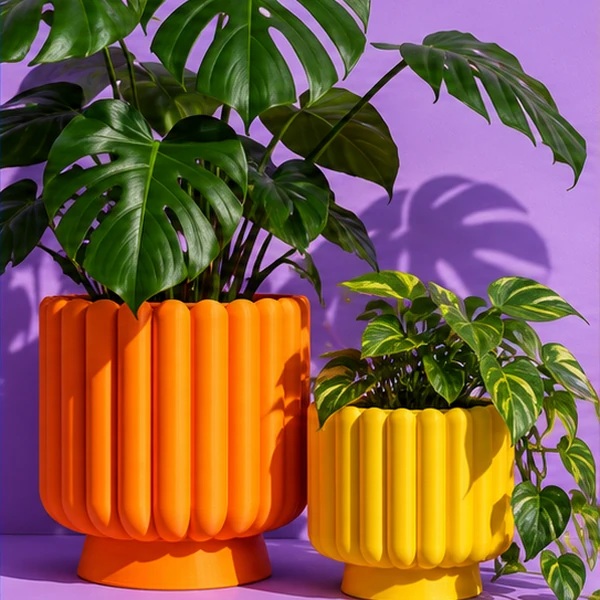 Cache-pots colorés avec plantes
