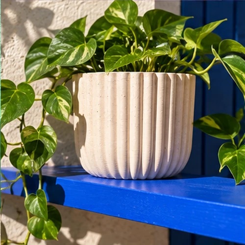 Cache-pot ivoire et plante